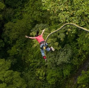 Saut à l'élastique - Image 5