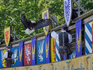 PUY DU FOU - Image 4